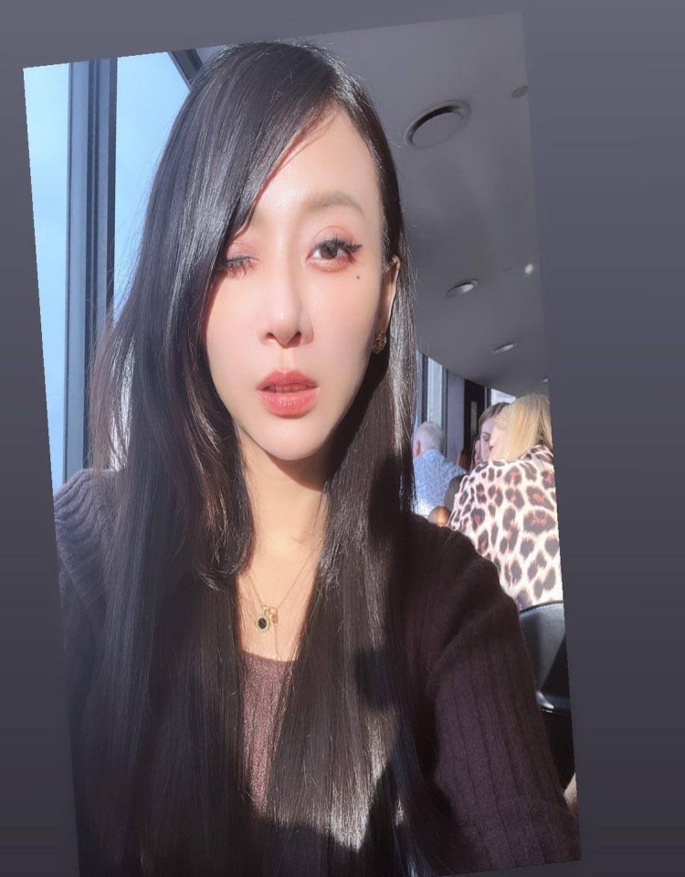 欧美人动物ppt免费模板大全,高清正版视频在线观看